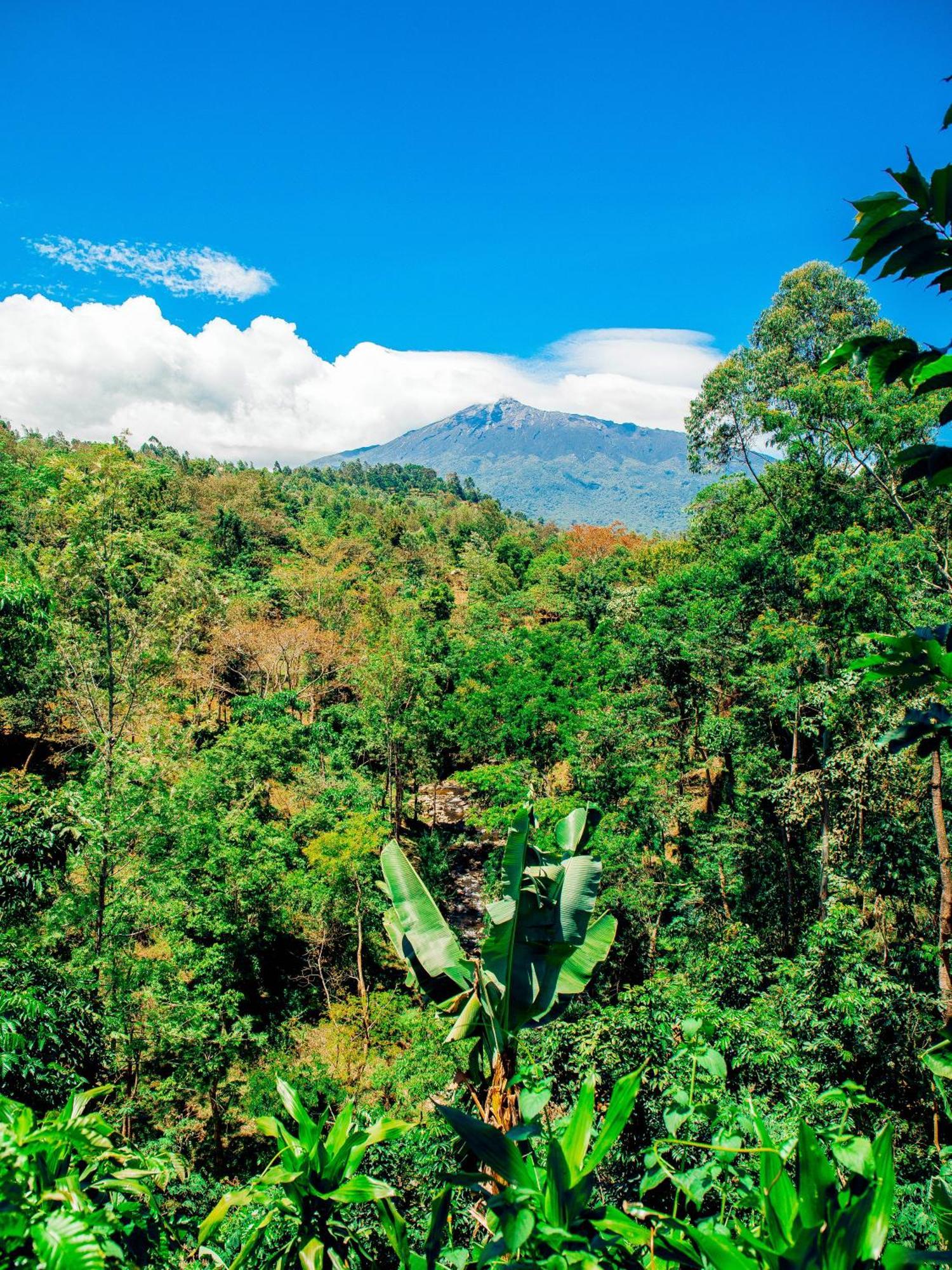 Arusha Jua Home Esterno foto